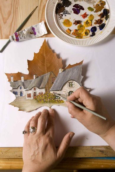 IL ETAIT UNE FEUILLE ...