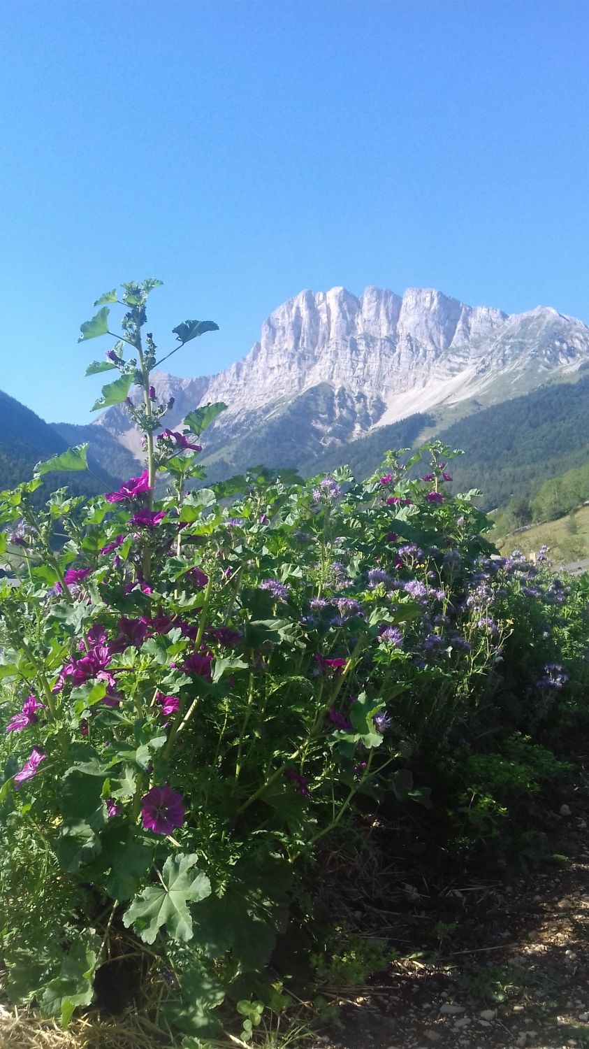 Cosmétiques naturels